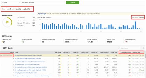 seo google serp rank tracker.